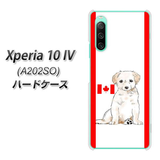 Xperia 10 IV A202SO SoftBank 高画質仕上げ 背面印刷 ハードケース【YD824 ラブラドールレトリバー05】