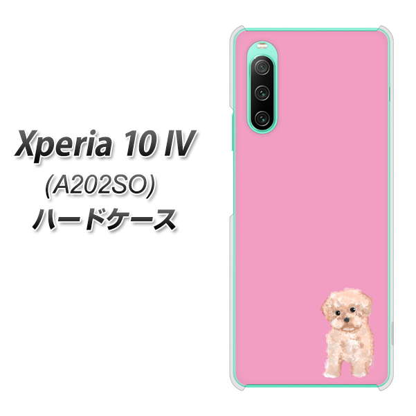 Xperia 10 IV A202SO SoftBank 高画質仕上げ 背面印刷 ハードケース【YJ061 トイプードルアプリコット（ピンク）】
