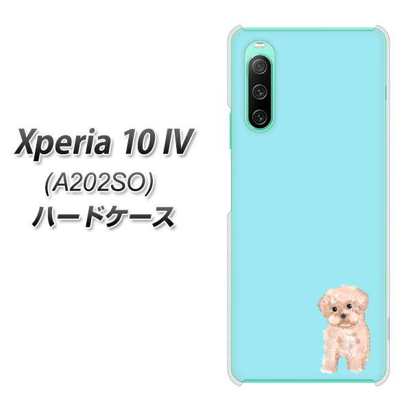 Xperia 10 IV A202SO SoftBank 高画質仕上げ 背面印刷 ハードケース【YJ062 トイプードルアプリコット（ブルー）】