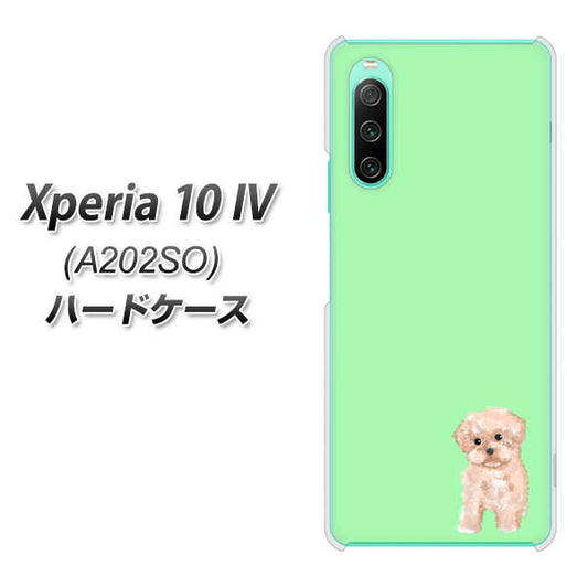 Xperia 10 IV A202SO SoftBank 高画質仕上げ 背面印刷 ハードケース【YJ063 トイプードルアプリコット（グリーン）】
