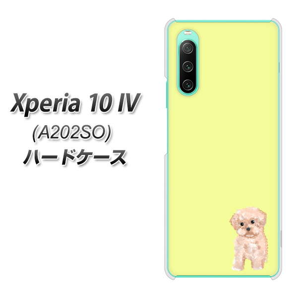 Xperia 10 IV A202SO SoftBank 高画質仕上げ 背面印刷 ハードケース【YJ064 トイプードルアプリコット（イエロー）】
