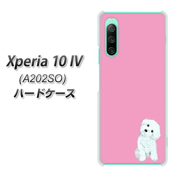 Xperia 10 IV A202SO SoftBank 高画質仕上げ 背面印刷 ハードケース【YJ069 トイプードルホワイト（ピンク）】