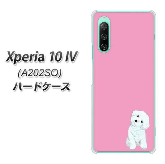 Xperia 10 IV A202SO SoftBank 高画質仕上げ 背面印刷 ハードケース【YJ069 トイプードルホワイト（ピンク）】