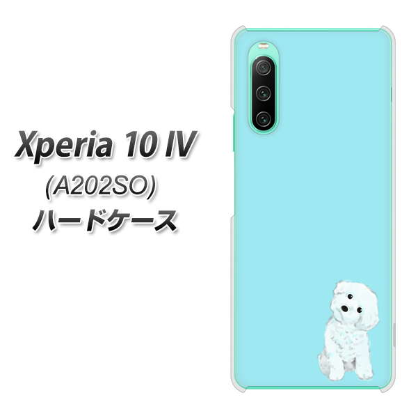 Xperia 10 IV A202SO SoftBank 高画質仕上げ 背面印刷 ハードケース【YJ070 トイプードルホワイト（ブルー）】