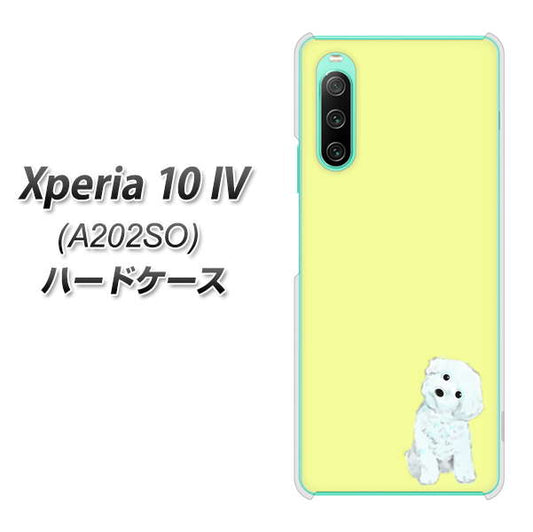 Xperia 10 IV A202SO SoftBank 高画質仕上げ 背面印刷 ハードケース【YJ072 トイプードルホワイト（イエロー）】