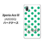 Xperia Ace III A203SO Y!mobile 高画質仕上げ 背面印刷 ハードケース【OE814 5月エメラルド】