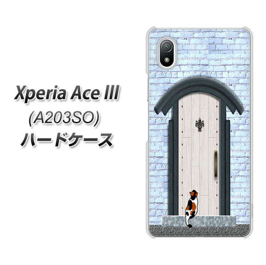 Xperia Ace III A203SO Y!mobile 高画質仕上げ 背面印刷 ハードケース【YA951 石ドア01】