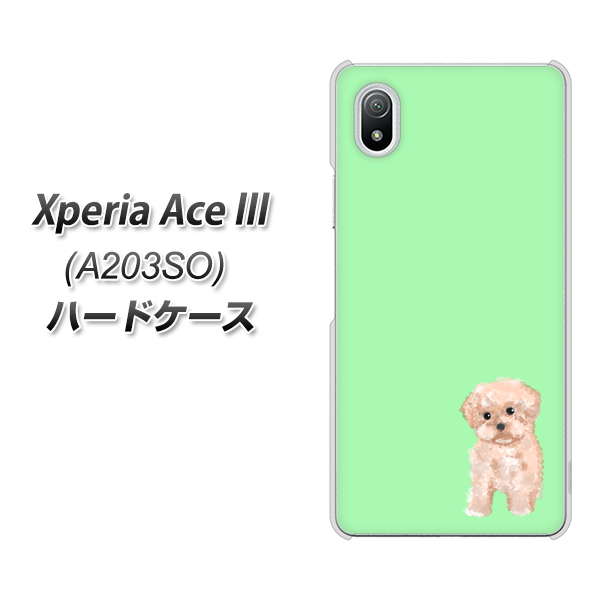 Xperia Ace III A203SO Y!mobile 高画質仕上げ 背面印刷 ハードケース【YJ063 トイプードルアプリコット（グリーン）】