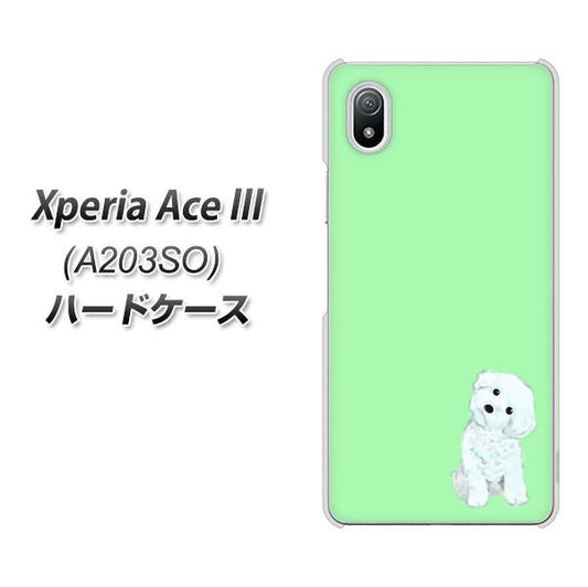 Xperia Ace III A203SO Y!mobile 高画質仕上げ 背面印刷 ハードケース【YJ071 トイプードルホワイト（グリーン）】