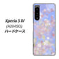 Xperia 5 IV A204SO SoftBank 高画質仕上げ 背面印刷 ハードケース【YJ293 デザイン】