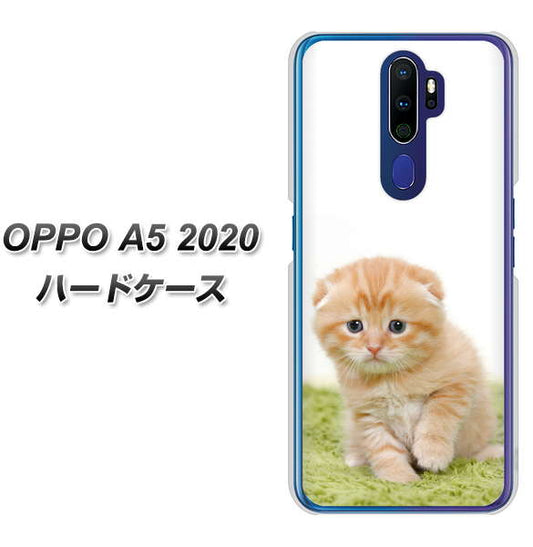 OPPO（オッポ） A5 2020 高画質仕上げ 背面印刷 ハードケース【VA802 ネコこっそり】