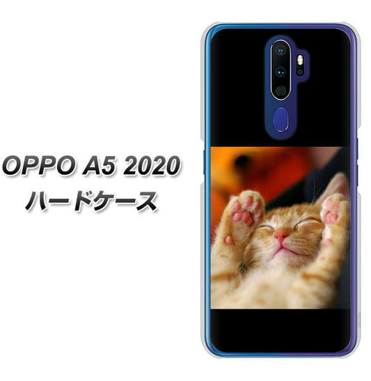 OPPO（オッポ） A5 2020 高画質仕上げ 背面印刷 ハードケース【VA804 爆睡するネコ】