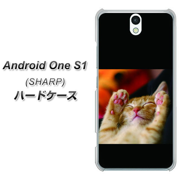 Y!mobile アンドロイドワン S1 高画質仕上げ 背面印刷 ハードケース【VA804 爆睡するネコ】