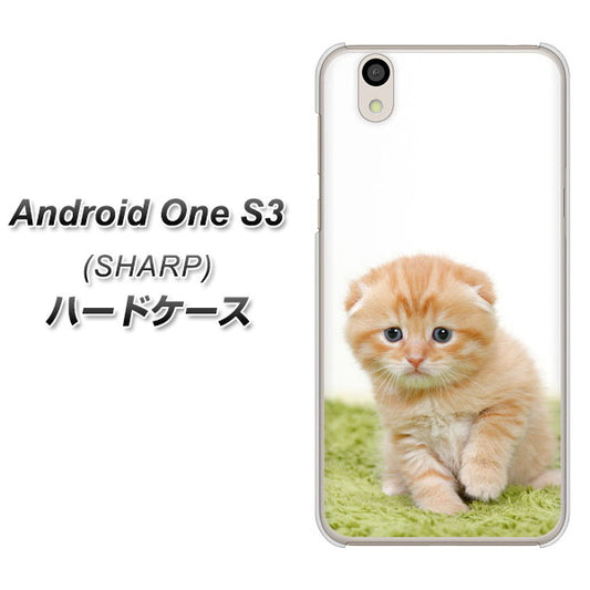 Android One S3 高画質仕上げ 背面印刷 ハードケース【VA802 ネコこっそり】