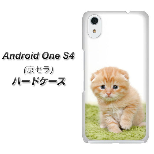 Android One S4 高画質仕上げ 背面印刷 ハードケース【VA802 ネコこっそり】