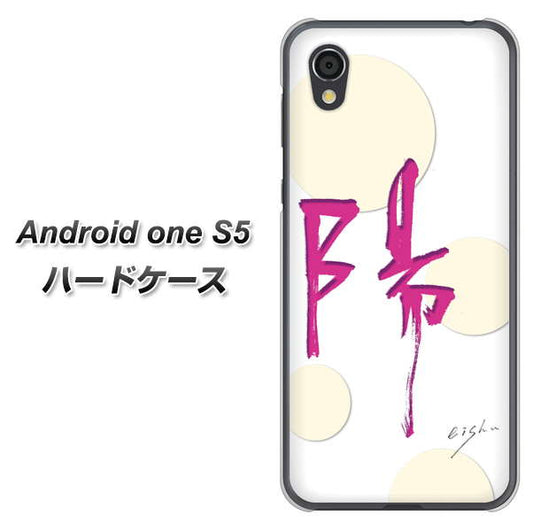 Android One S5 高画質仕上げ 背面印刷 ハードケース【OE833 陽】