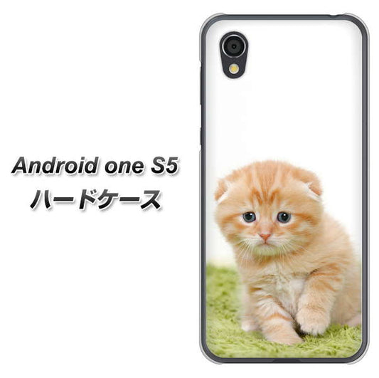 Android One S5 高画質仕上げ 背面印刷 ハードケース【VA802 ネコこっそり】