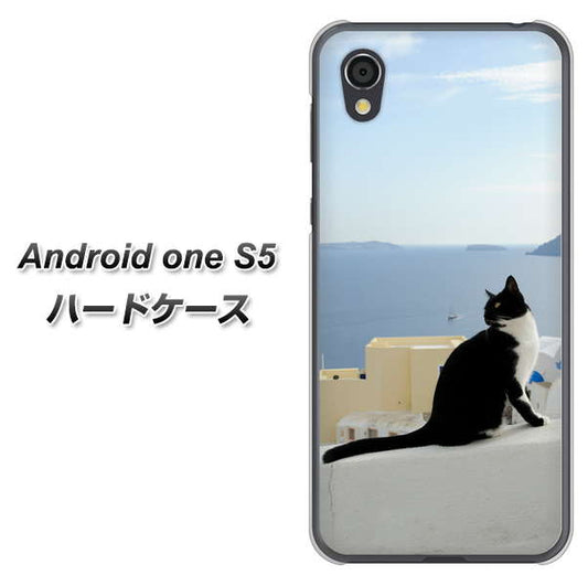 Android One S5 高画質仕上げ 背面印刷 ハードケース【VA805 ネコと地中海】