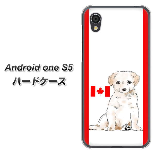 Android One S5 高画質仕上げ 背面印刷 ハードケース【YD824 ラブラドールレトリバー05】