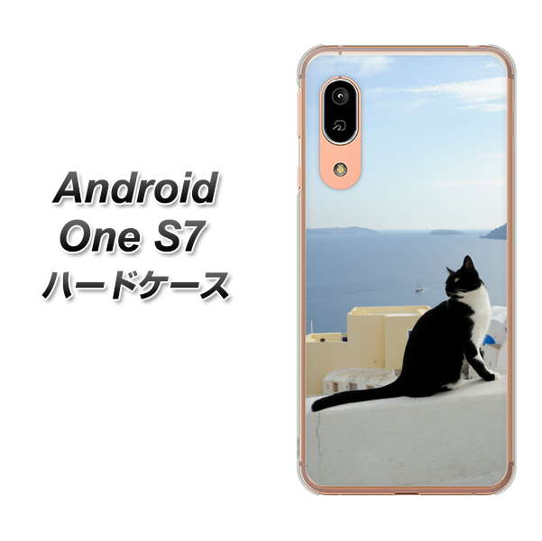 Andoroid One S7 高画質仕上げ 背面印刷 ハードケース【VA805 ネコと地中海】