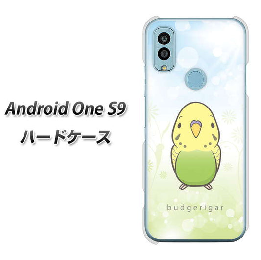 Android One S9 Y!mobile 高画質仕上げ 背面印刷 ハードケース【SC838 セキセイインコ グリーン】