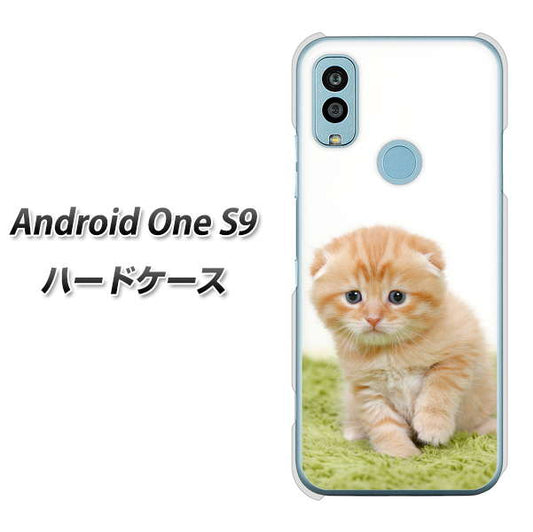 Android One S9 Y!mobile 高画質仕上げ 背面印刷 ハードケース【VA802 ネコこっそり】