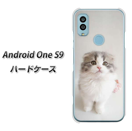 Android One S9 Y!mobile 高画質仕上げ 背面印刷 ハードケース【VA803 まっていますネコ】