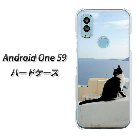 Android One S9 Y!mobile 高画質仕上げ 背面印刷 ハードケース【VA805 ネコと地中海】