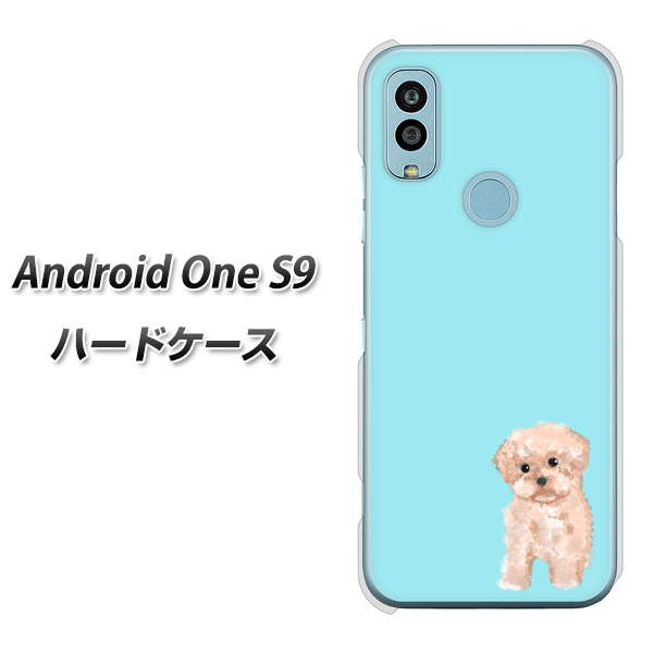 Android One S9 Y!mobile 高画質仕上げ 背面印刷 ハードケース【YJ062 トイプードルアプリコット（ブルー）】