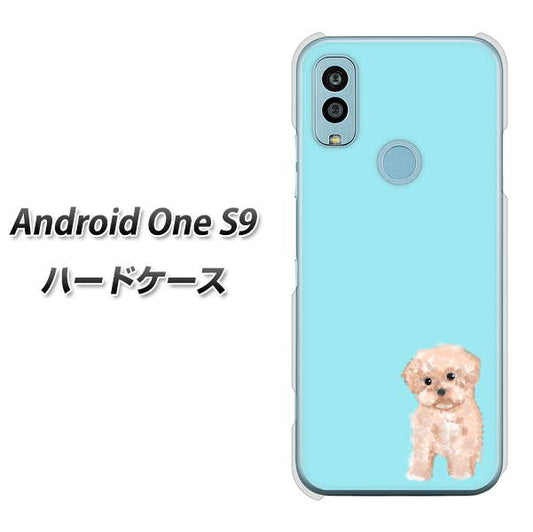 Android One S9 Y!mobile 高画質仕上げ 背面印刷 ハードケース【YJ062 トイプードルアプリコット（ブルー）】