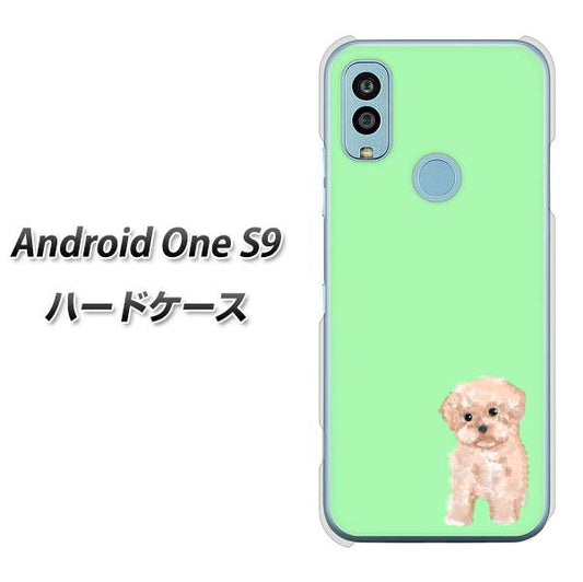 Android One S9 Y!mobile 高画質仕上げ 背面印刷 ハードケース【YJ063 トイプードルアプリコット（グリーン）】