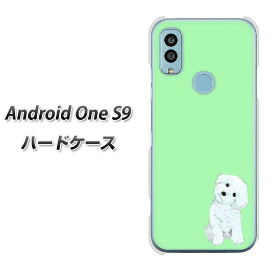 Android One S9 Y!mobile 高画質仕上げ 背面印刷 ハードケース【YJ071 トイプードルホワイト（グリーン）】