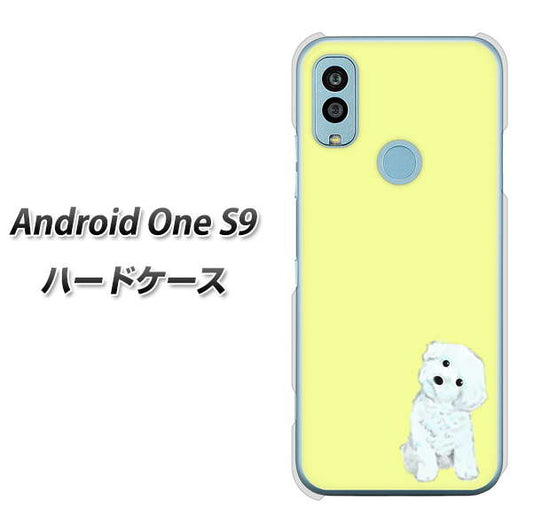 Android One S9 Y!mobile 高画質仕上げ 背面印刷 ハードケース【YJ072 トイプードルホワイト（イエロー）】