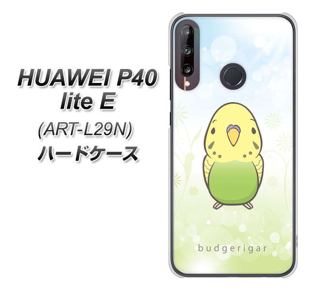 HUAWEI（ファーウェイ） P40 lite E ART-L29N 高画質仕上げ 背面印刷 ハードケース【SC838 セキセイインコ グリーン】