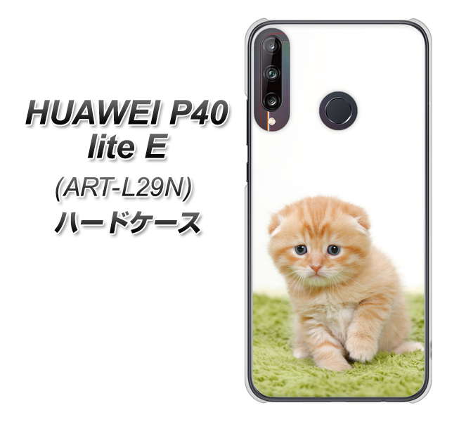 HUAWEI（ファーウェイ） P40 lite E ART-L29N 高画質仕上げ 背面印刷 ハードケース【VA802 ネコこっそり】