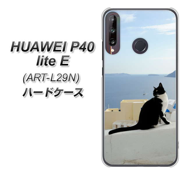 HUAWEI（ファーウェイ） P40 lite E ART-L29N 高画質仕上げ 背面印刷 ハードケース【VA805 ネコと地中海】