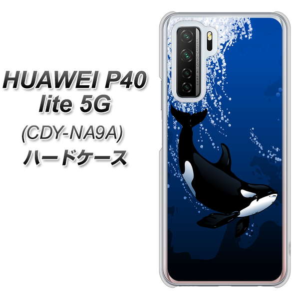 HUAWEI（ファーウェイ） P40 lite 5G CDY-NA9A 高画質仕上げ 背面印刷 ハードケース【423 シャチ】