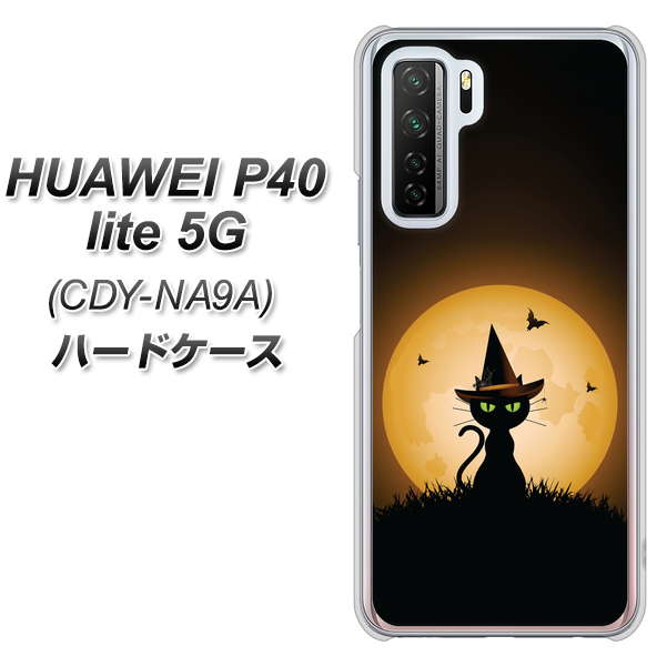 HUAWEI（ファーウェイ） P40 lite 5G CDY-NA9A 高画質仕上げ 背面印刷 ハードケース【440 猫の魔法使い】