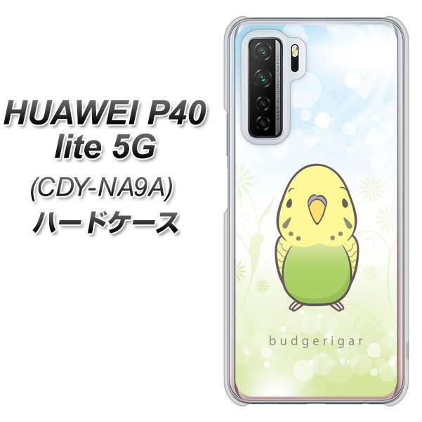 HUAWEI（ファーウェイ） P40 lite 5G CDY-NA9A 高画質仕上げ 背面印刷 ハードケース【SC838 セキセイインコ グリーン】