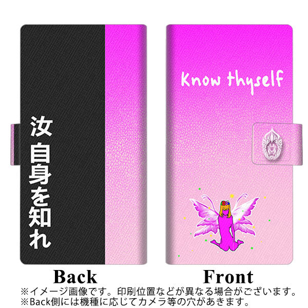 docomo ディズニーモバイル DM-01J 画質仕上げ プリント手帳型ケース(薄型スリム)【YC921 フェアリートーク02】