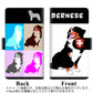 docomo ギャラクシーS20+ SC-52A 高画質仕上げ プリント手帳型ケース(通常型)【YD883 バーニーズマウンテンドッグ04】