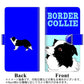 softbank エクスペリア8 902SO 高画質仕上げ プリント手帳型ケース(通常型)【YD902 ボーダーコリー03】