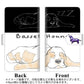 アクオス センス3 ライト SH-RM12 高画質仕上げ プリント手帳型ケース(通常型)【YD932 バセットハウンド03】