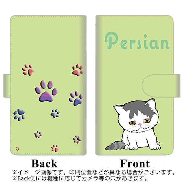 au ギャラクシー S10+ SCV42 高画質仕上げ プリント手帳型ケース(通常型)【YE831 ペルシャ02】