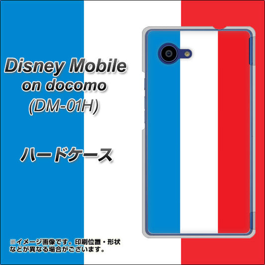 docomo ディズニーモバイル DM-01H 高画質仕上げ 背面印刷 ハードケース【673 フランス】