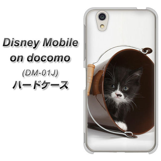 docomo ディズニーモバイル DM-01J 高画質仕上げ 背面印刷 ハードケース【VA800 ネコとバケツ】