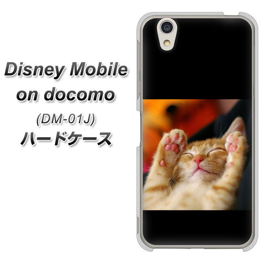 docomo ディズニーモバイル DM-01J 高画質仕上げ 背面印刷 ハードケース【VA804 爆睡するネコ】