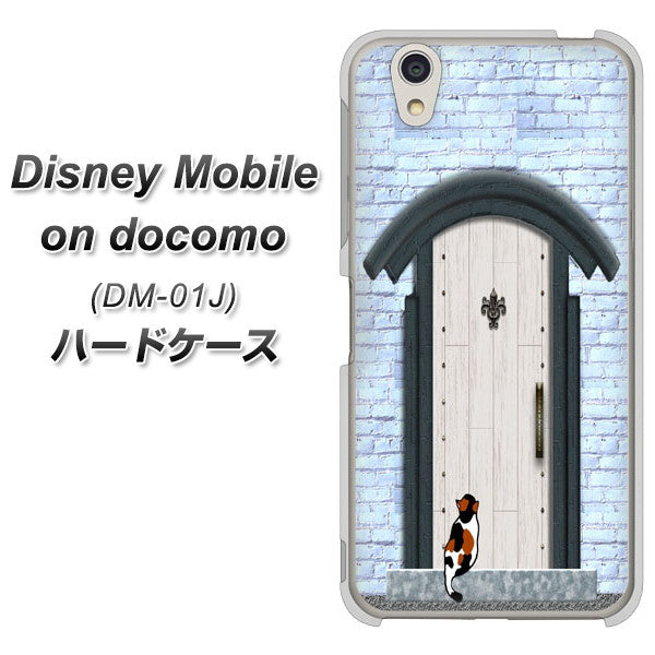 docomo ディズニーモバイル DM-01J 高画質仕上げ 背面印刷 ハードケース【YA951 石ドア01】