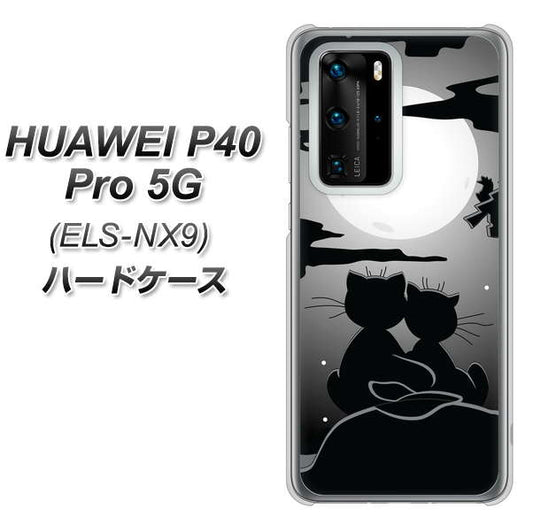 HUAWEI（ファーウェイ） P40 Pro 5G ELS-NX9 高画質仕上げ 背面印刷 ハードケース【342 月夜の二人】
