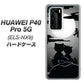 HUAWEI（ファーウェイ） P40 Pro 5G ELS-NX9 高画質仕上げ 背面印刷 ハードケース【342 月夜の二人】